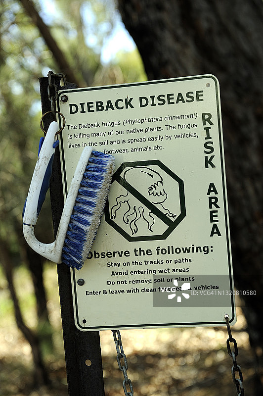 警告植物疫病（樟疫霉）的标志牌及鞋具清洁刷图片素材