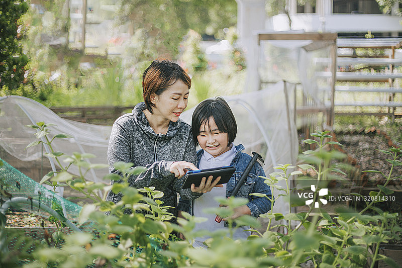 中国母亲在后院用平板电脑向女儿们讲解园艺图片素材