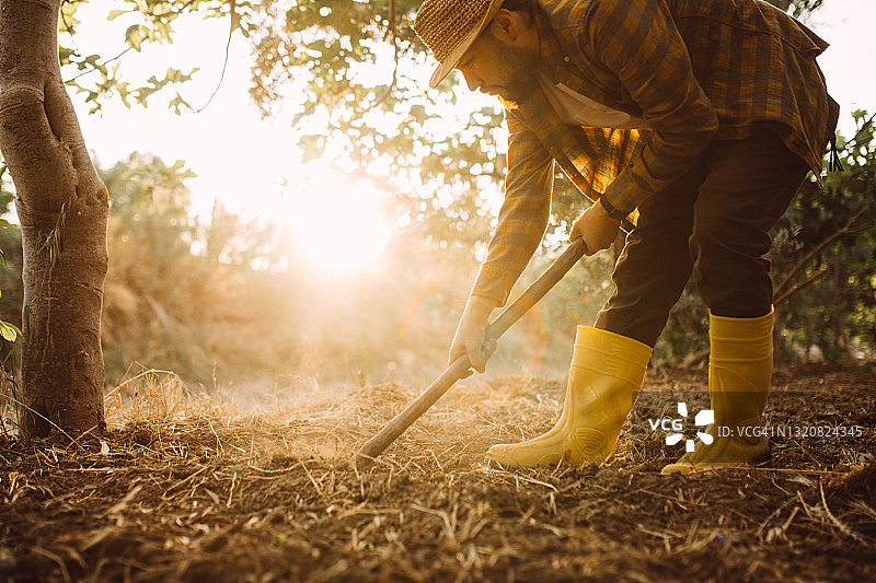 年轻农民在农田里种植蔬菜图片素材