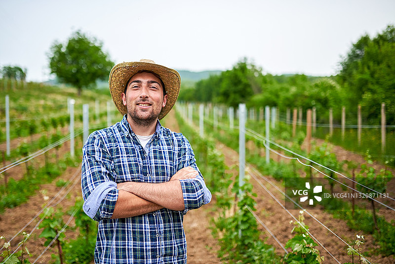 葡萄园里的酿酒师 портрет图片素材