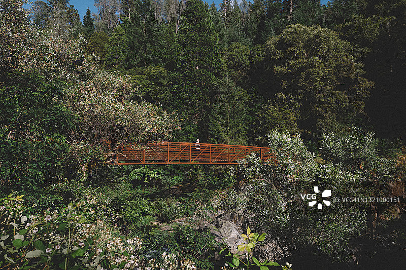 郁郁葱葱的森林上，锈色桥梁上少年身影的远景图片素材