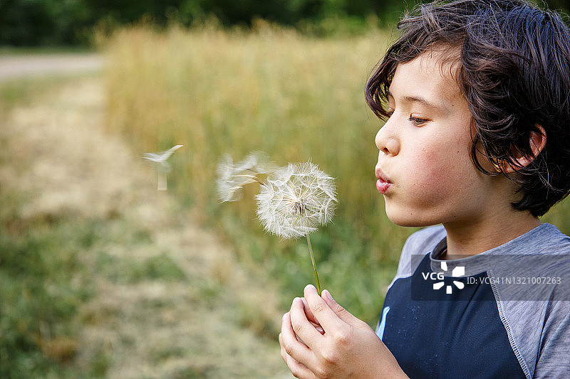 草地上，男孩吹着巨大的蒲公英种子图片素材