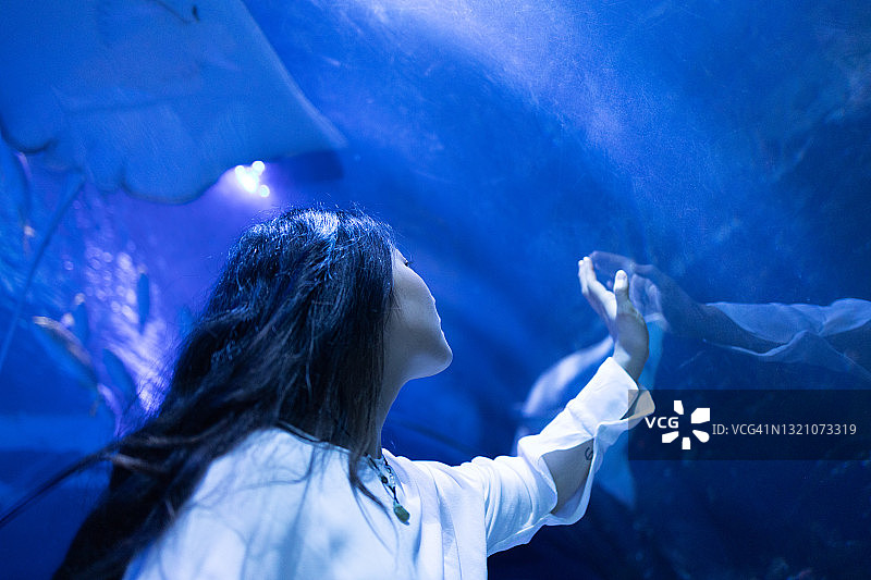 女人在水族馆里看鱼图片素材