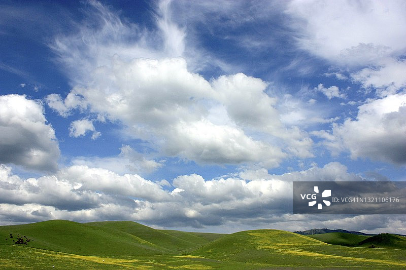 美国加利福尼亚州乡村丘陵风光图片素材