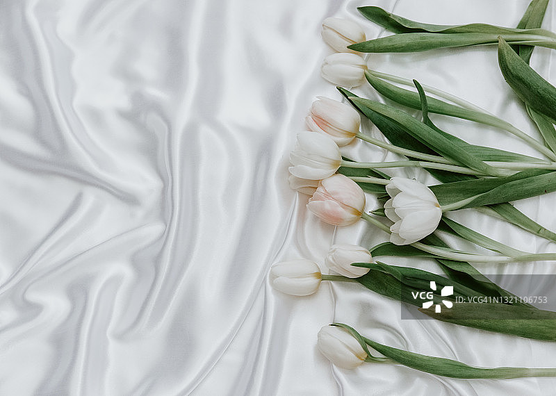 丝绸桌布上的白色郁金香图片素材