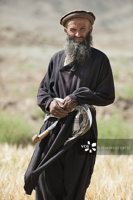 农民穿着传统Salwar Kameez站在麦田里拿着镰刀图片素材