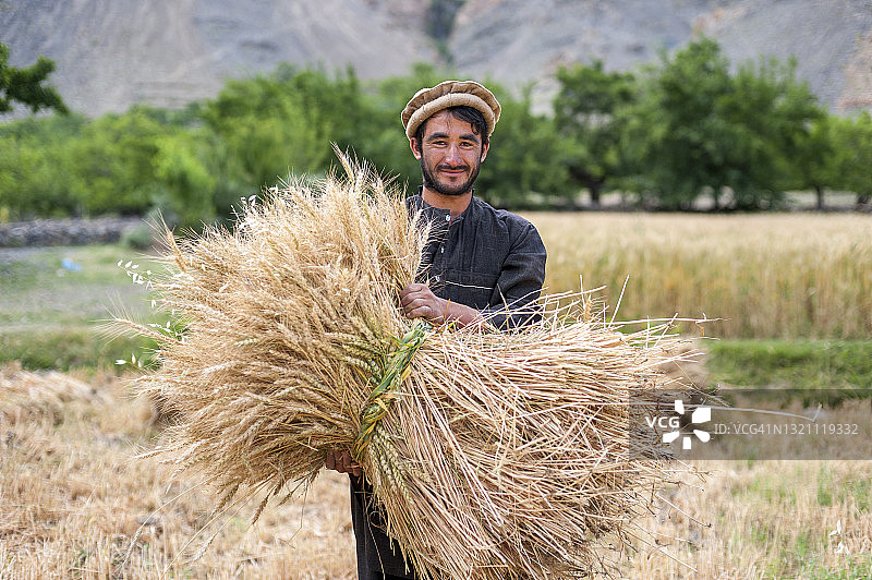 在阿富汗潘杰希尔山谷，农民手捧一捆新收割的麦子图片素材