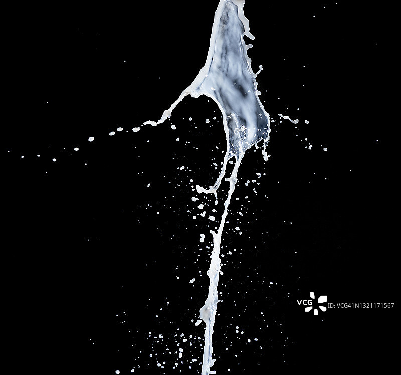 黑色背景上的牛奶飞溅和滴落图片素材