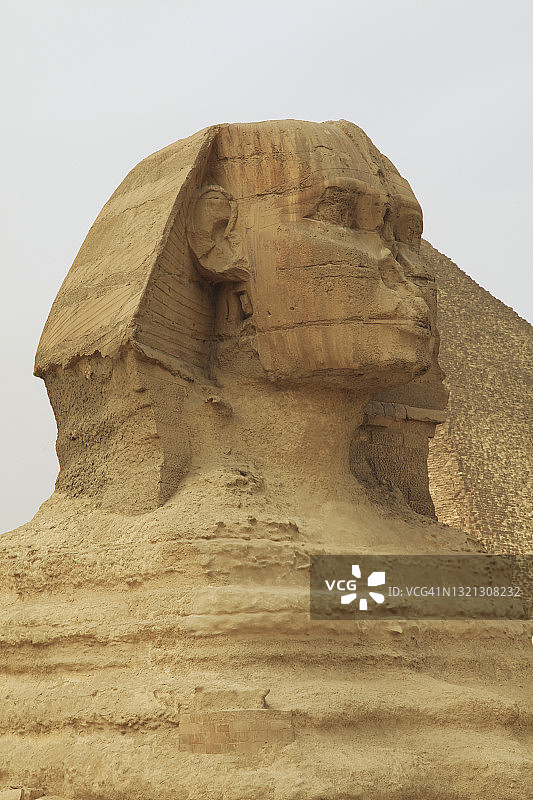 吉萨大狮身人面像的特写图片素材