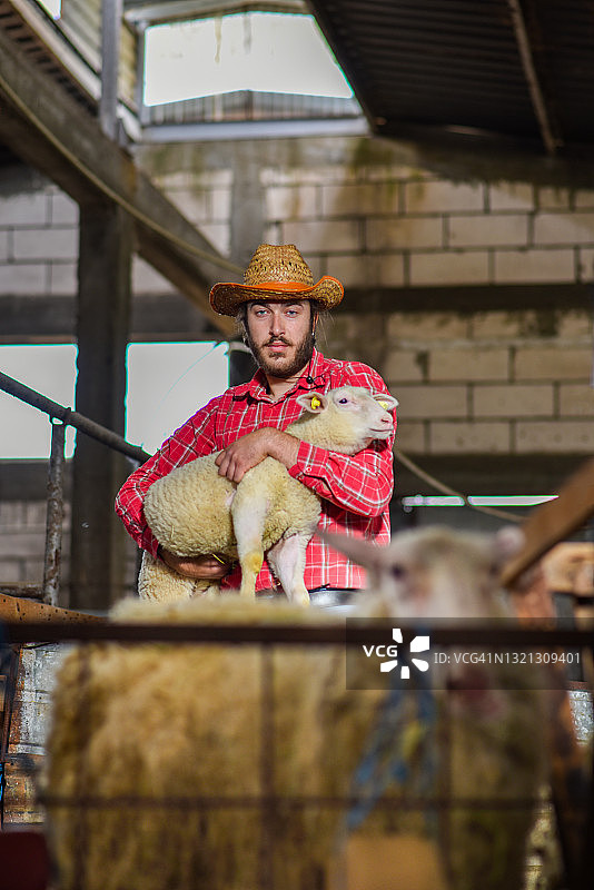 年轻自豪的农民抱着羔羊图片素材