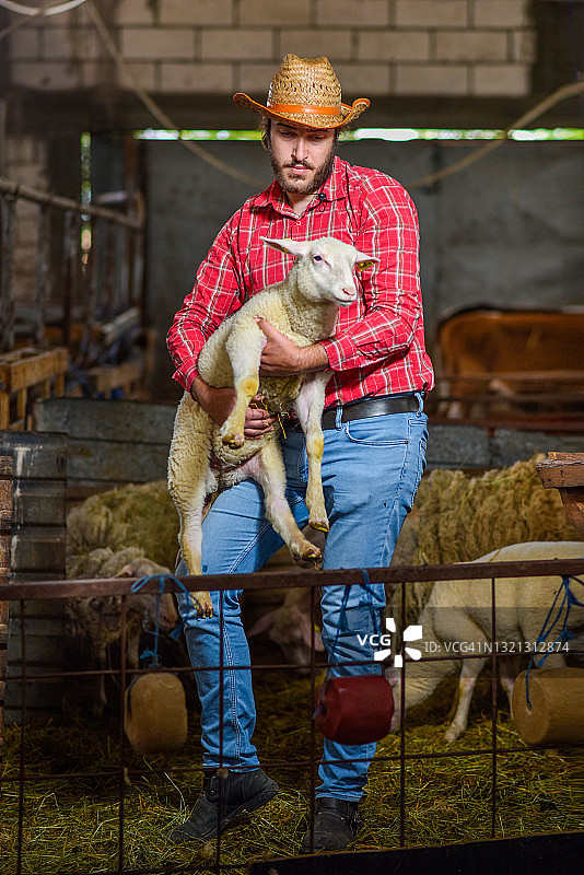 农民在谷仓里抱着小羊图片素材
