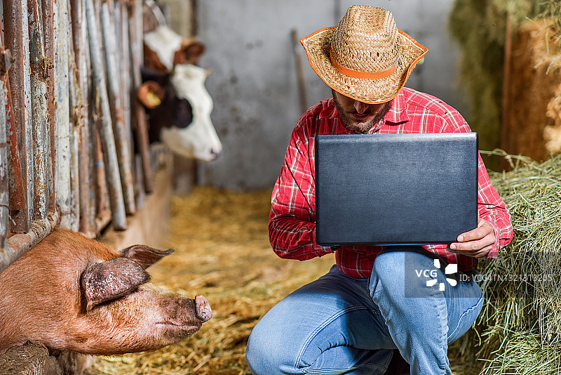 在谷仓里使用笔记本电脑的现代农民图片素材