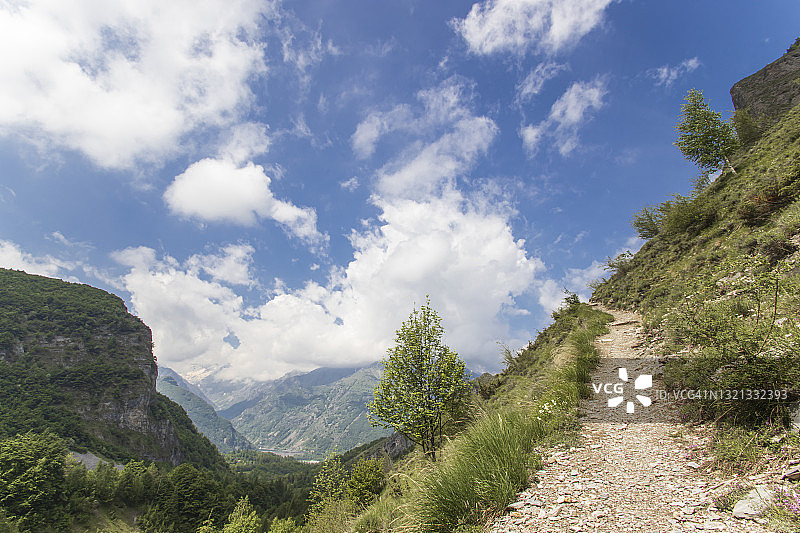 夏日阳光明媚的山间小路图片素材
