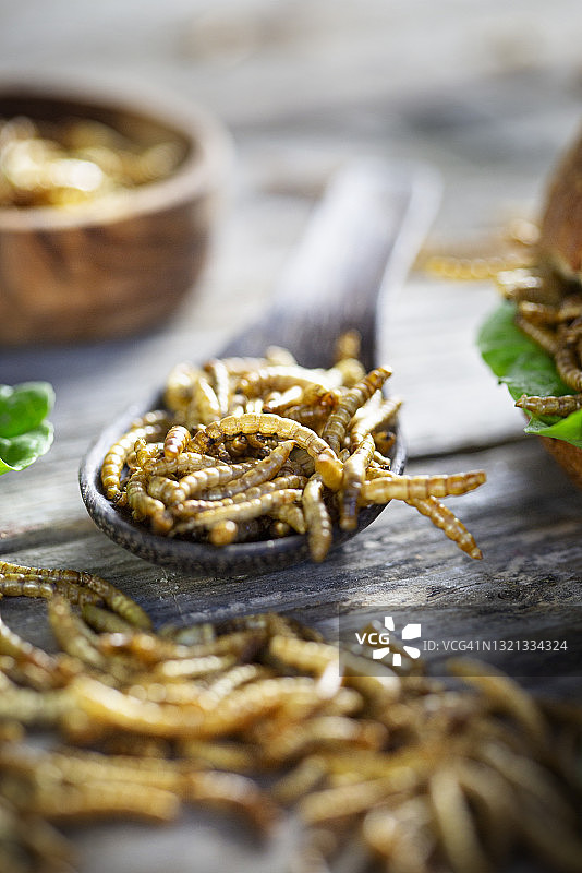 可食用昆虫：面包虫作为肉类替代品的新型食物图片素材