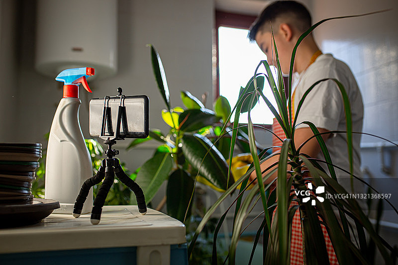 家庭盆栽养护图片素材