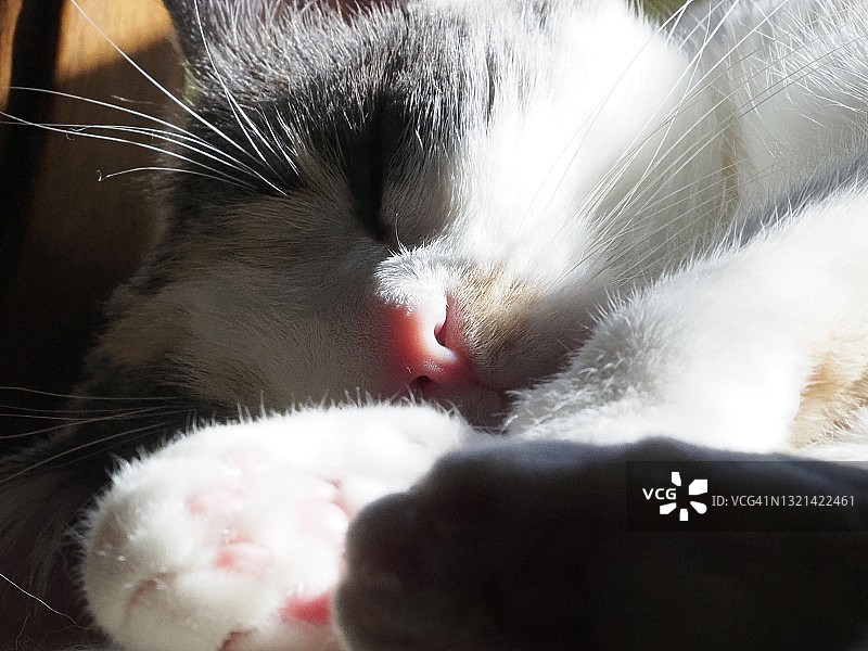 小憩一会儿图片素材