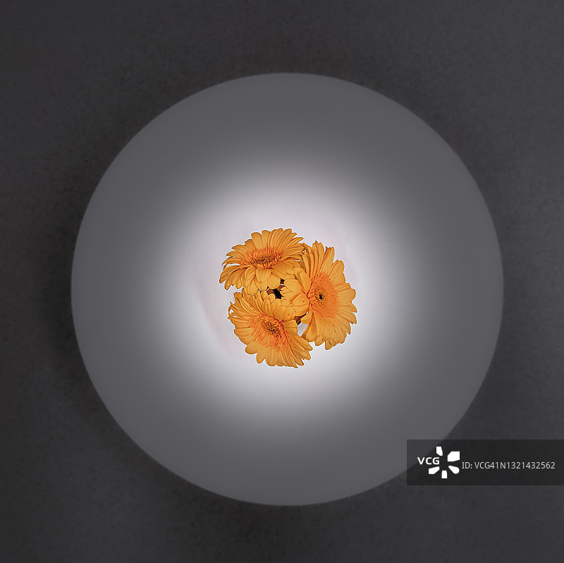 桌子上的花图片素材