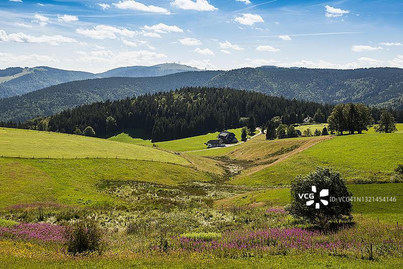 德国巴登-符腾堡州黑森林，从Schauinsland眺望费尔德贝格图片素材