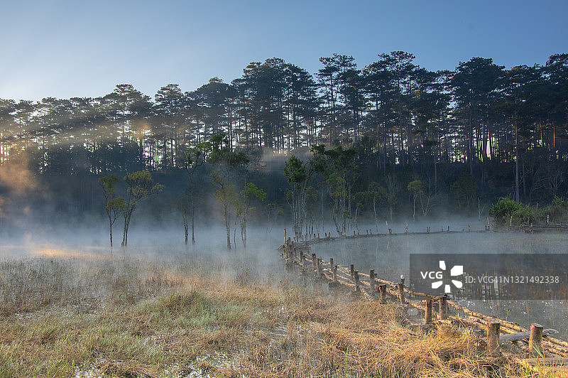 雾气弥漫的森林中的光线与孤独的渔夫图片素材