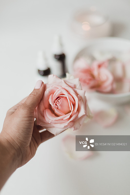 带有精油和玫瑰花瓣的身体和皮肤护理美容仪式图片素材