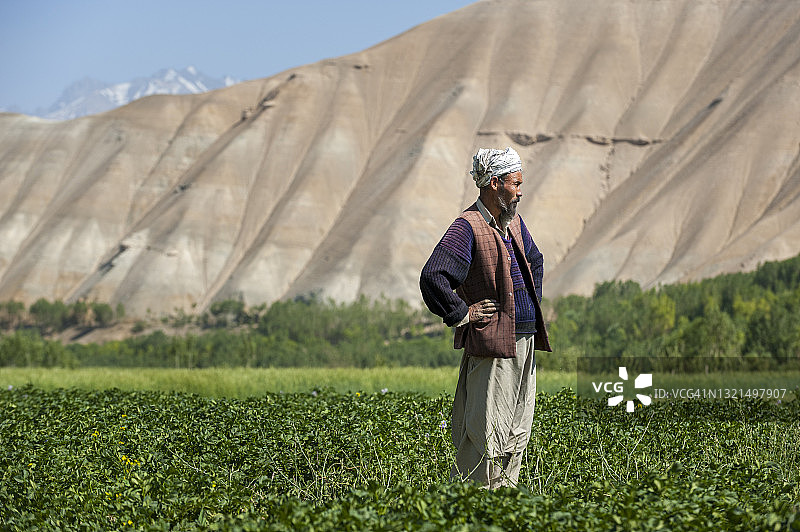 阿富汗中部巴米扬山谷的马铃薯田地里的农民图片素材