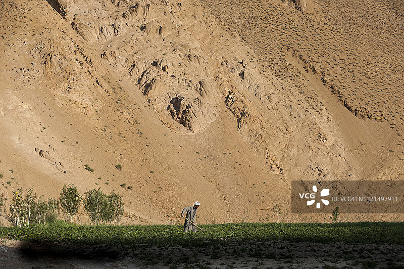 一名马铃薯农民在阿富汗巴米扬省干燥贫瘠的山坡上，扛着铁锹走过田野图片素材