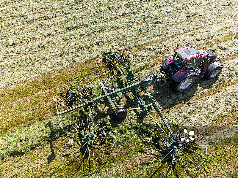 青贮饲料制作，春季的首批作物图片素材
