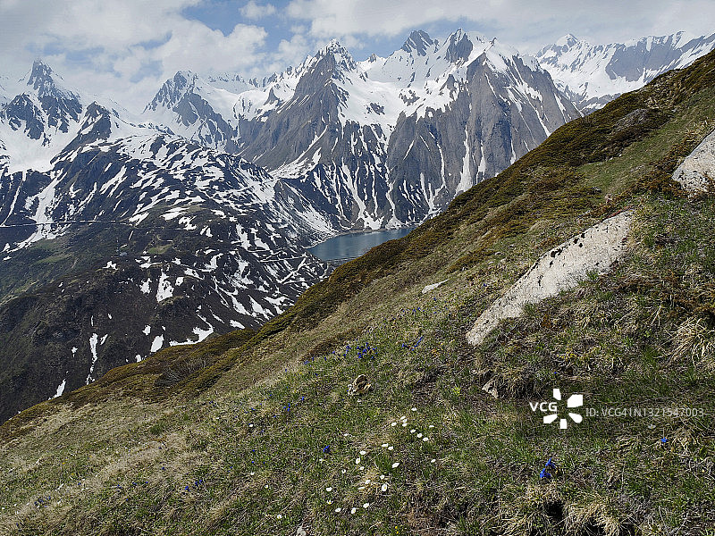 福尔马扎山谷的阿尔卑斯牧场和莫拉斯科湖图片素材