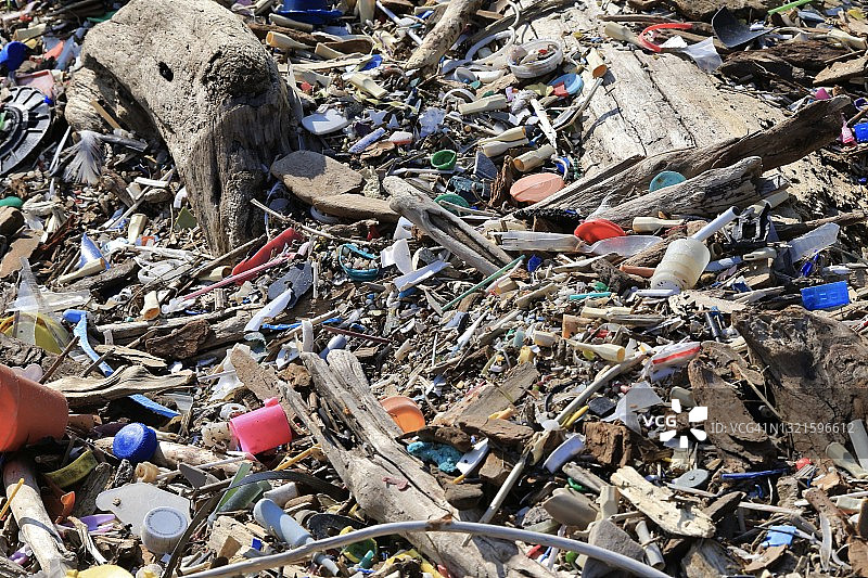 海滩上被冲上来的水污染垃圾图片素材