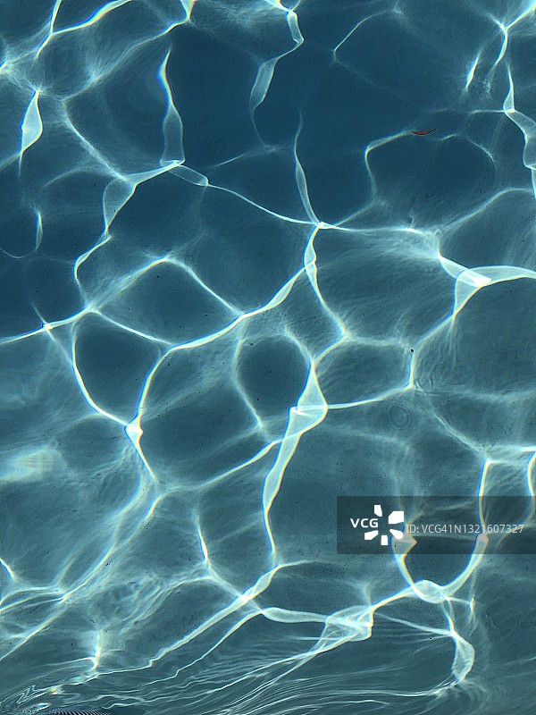 南加州美丽的蓝色泳池图片素材