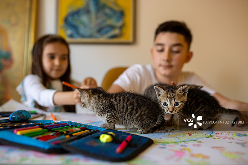 兄妹一起进行创意活动图片素材