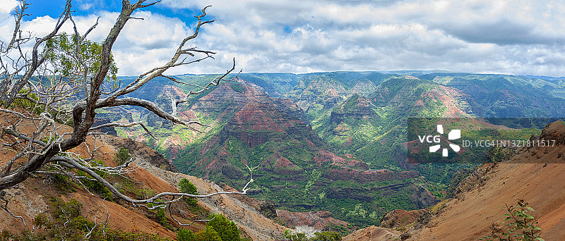 夏威夷可爱岛威美亚峡谷图片素材