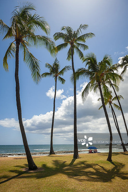 热带夏威夷海滩图片素材