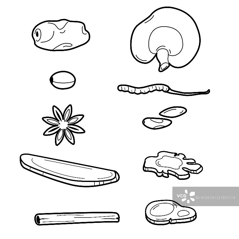 中草药轮廓图片素材