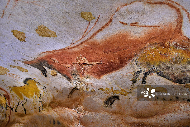 拉斯科洞穴的几匹马图片素材