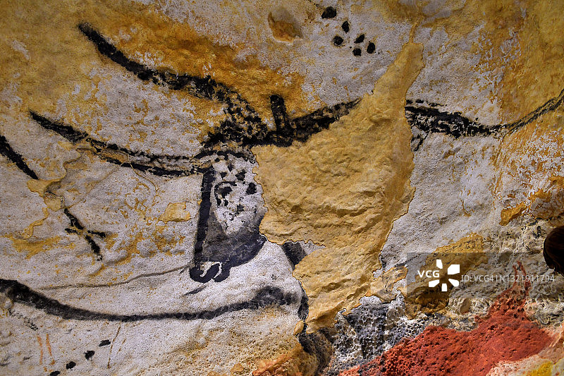 拉斯科岩洞中的原牛头像图片素材