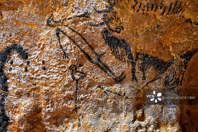 拉斯科洞窟中的男人与鸟图片素材