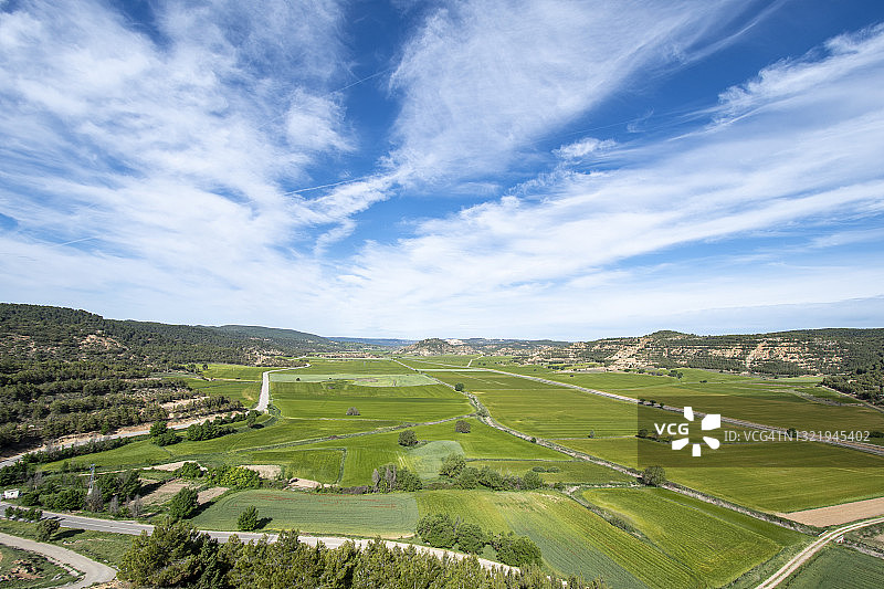 春天田野里生机勃勃的植物图片素材