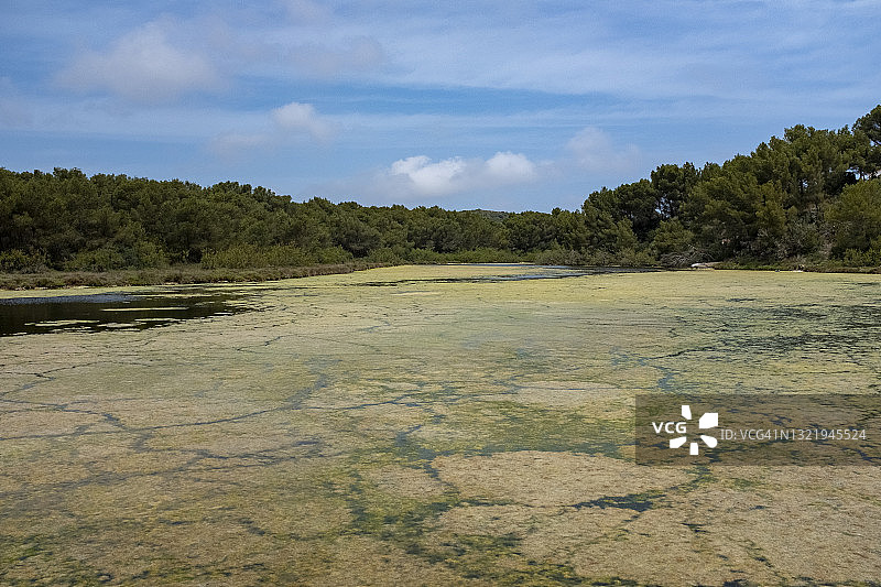 富营养化的咸水泻湖图片素材