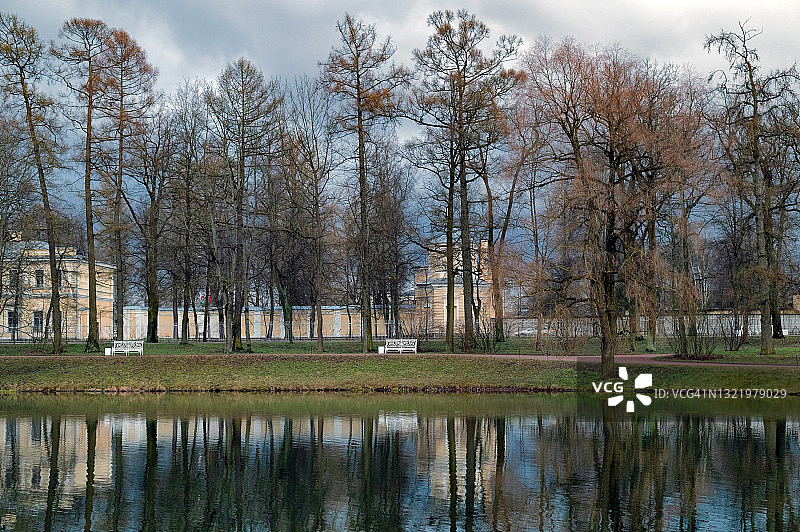 雨后春季城市公园夜晚图片素材