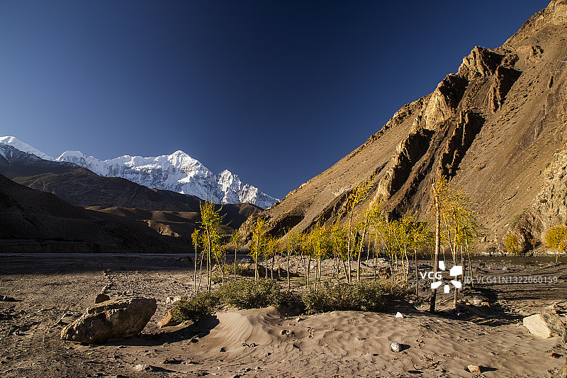 尼泊尔木斯塘地区卡格贝尼村：雪山下的河岸树苗图片素材