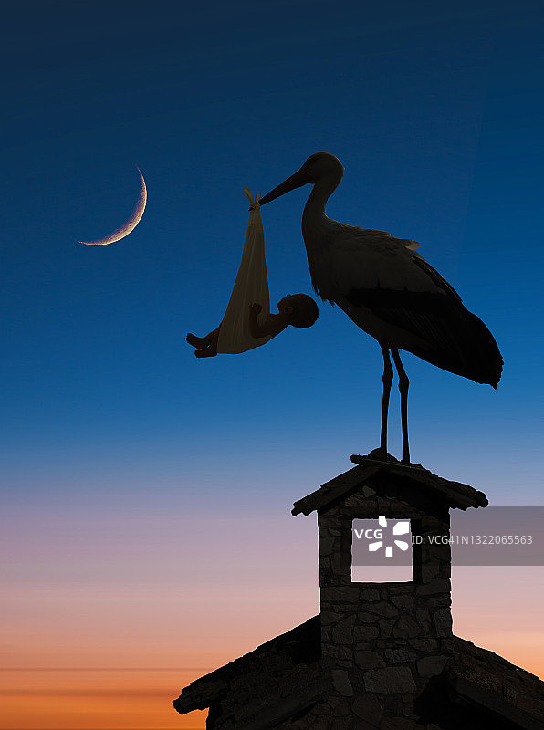 站在烟囱上的送子鹳图片素材