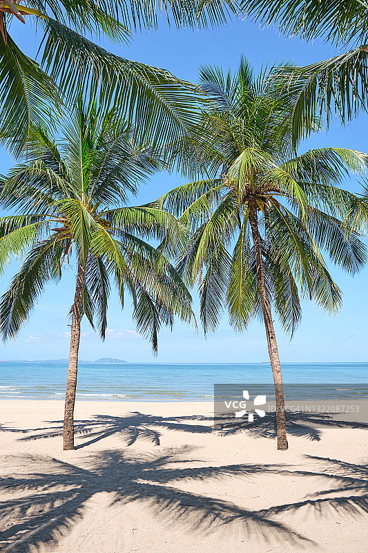 热带天堂海滩和棕榈叶风光图片素材