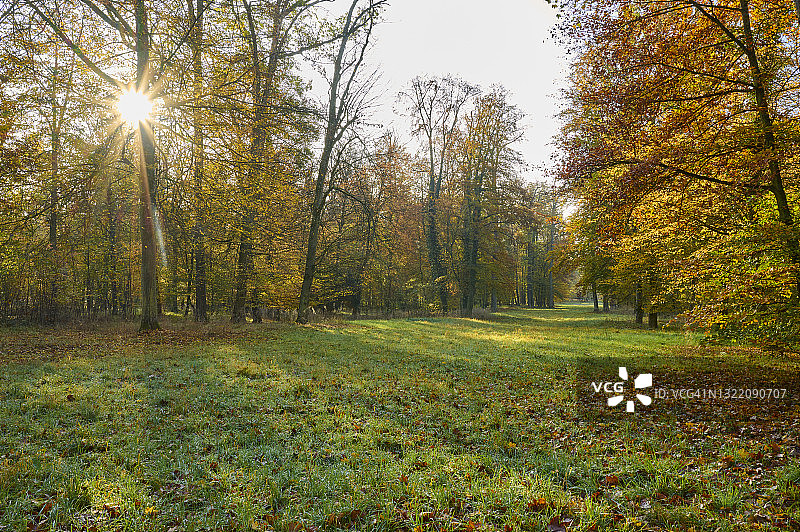 秋季晨曦公园景观图片素材