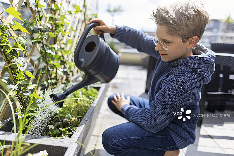 青少年男孩在阳台上浇花图片素材