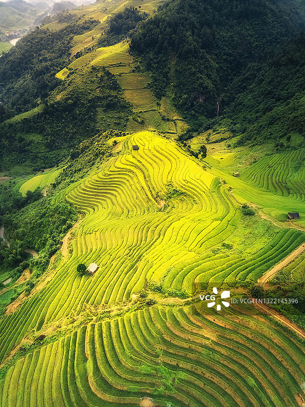 越南木 Cang Chai 沐浴在阳光下的梯田图片素材