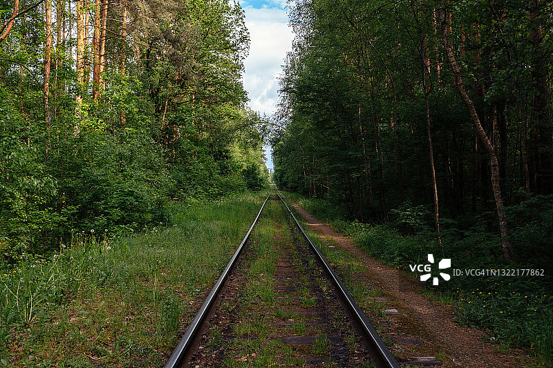 消失在夏日森林中的笔直铁路图片素材