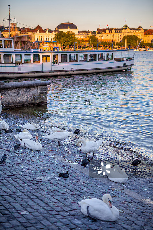 苏黎世的夏日傍晚图片素材