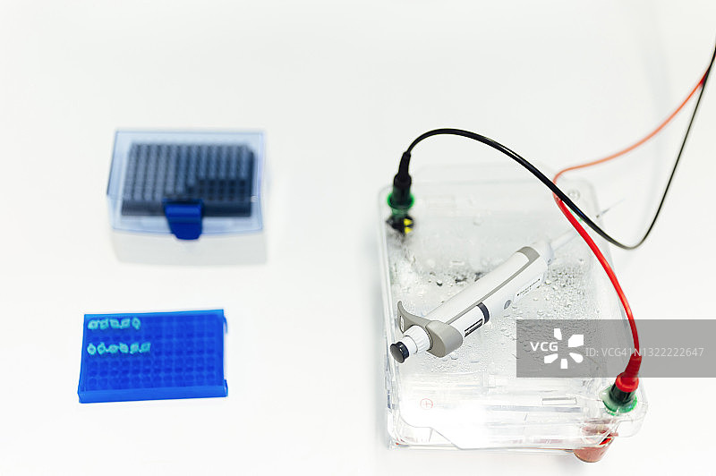 实验室中的微量管架、移液器和电泳仪图片素材