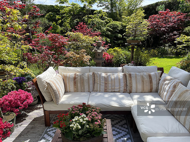 夏日阳光花园露台休闲区，户外地毯与盆景树图片素材